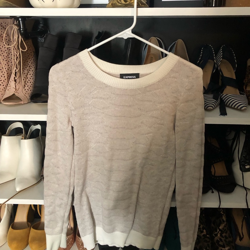 Express M sweater